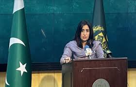 دفتر خارجہ کی ٹی ٹی پی کیساتھ حکومت کے مذاکرات کی تردید