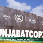 کاپ 30 کانفرنس میں صوبہ پنجاب کی طرف سے ’پاکستان پویلین ‘ قائم