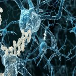 الزائمرز کی یادداشت کی خرابی میں ڈوپامین کے نئے کردار کا انکشاف