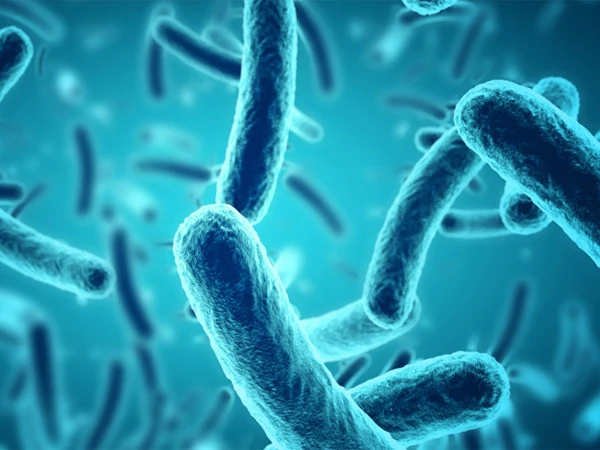 آنتوں کے بیکٹیریا سے میلانوما کے دوبارہ ہونے کے خطرے کی پیشگوئی ممکن: نئی تحقیق