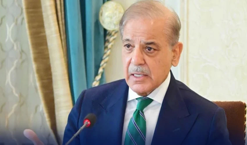 پاکستان عالمی برادری میں سرخرو، ترقی کا سفر جاری رہے گا