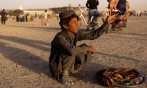 آبنائے ہرمز کی بندش سے 6 تا 12 ماہ میں عالمی غذائی بحران کا خدشہ، ایف اے او کی وارننگ