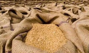 پنجاب اور خیبرپختونخوا میں گندم کی قیمتوں میں اضافہ، آٹے کی قیمتیں نسبتاً مستحکم